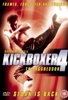 Movie Kickboxer 4: The Aggressor