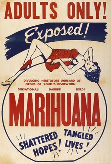 Movie Marihuana