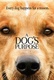 A Dog's Purpose Quotes