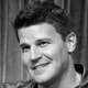 David Boreanaz Quotes