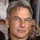 Mark Harmon Quotes